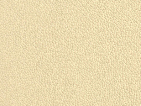 pvc1 swcr PV09.54.50SWCR