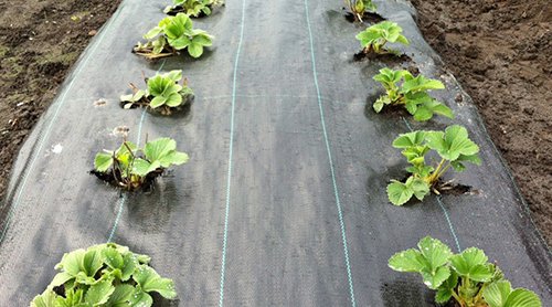 product 1root control.2e16d0ba.fill 1600x885 c100